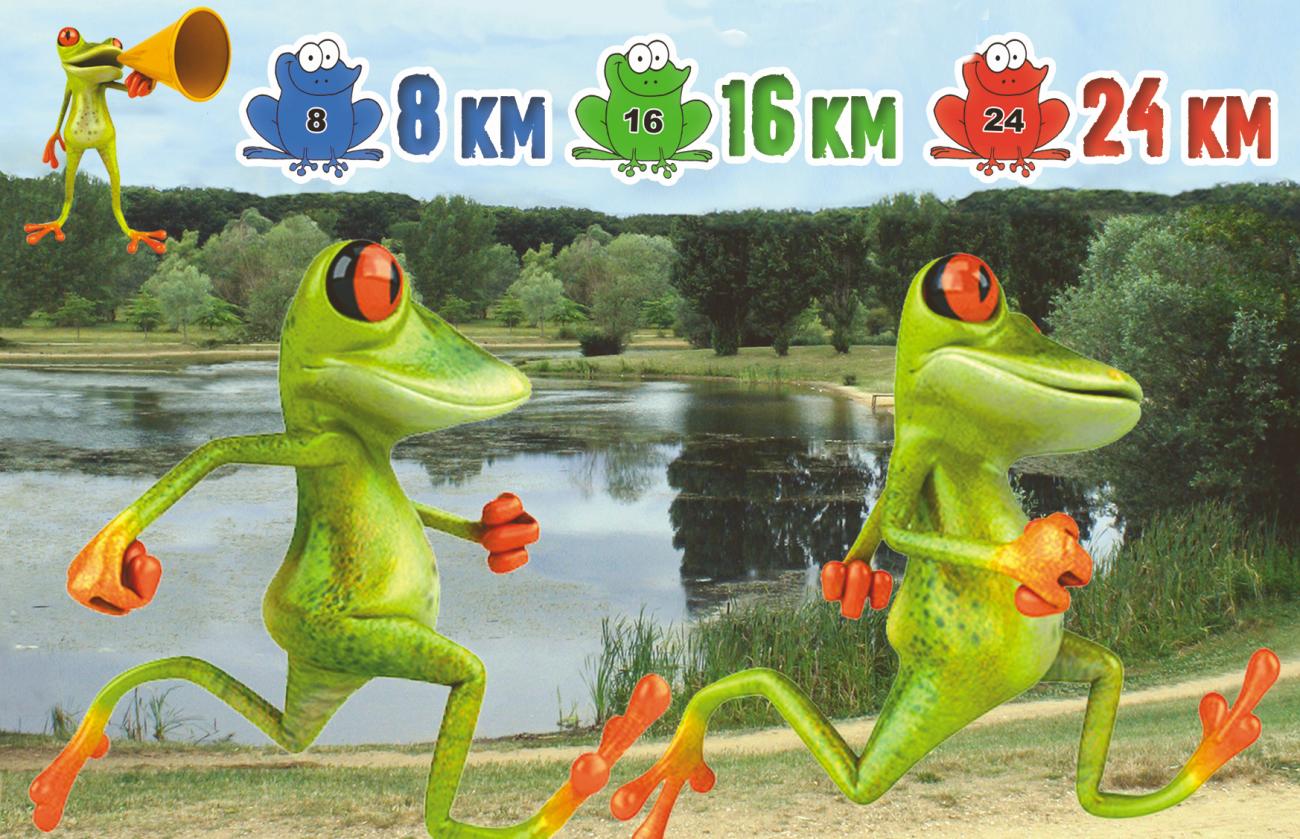 Grenouilles