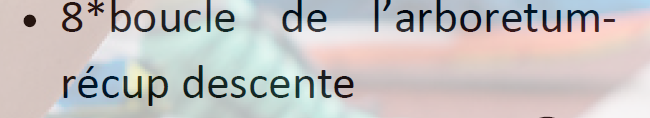 descriptif de l'activité