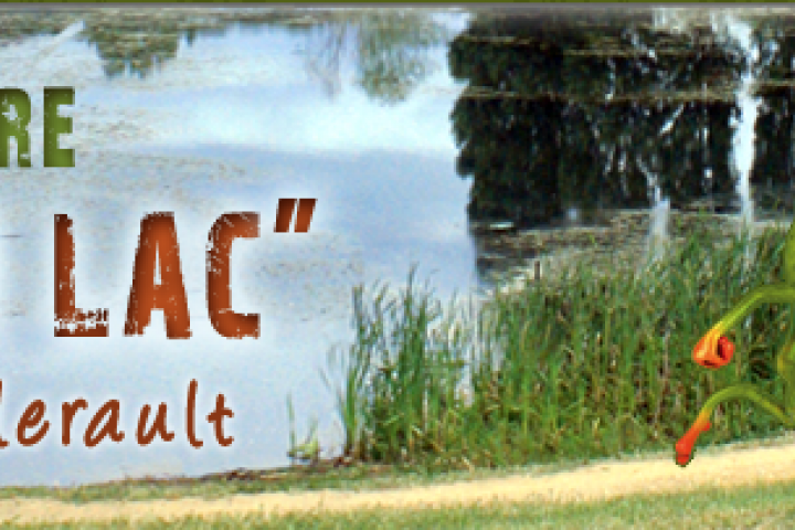Le Feu au Lac