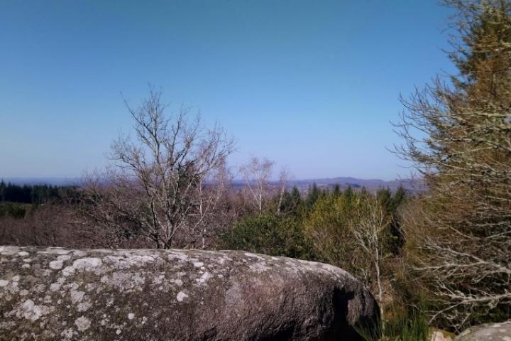Trail loup blanc 3