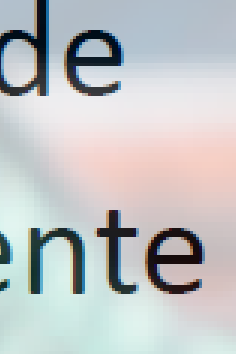 descriptif de l'activité